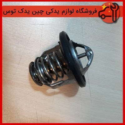 ترموستات جیلی شاسی